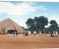 4-jpg